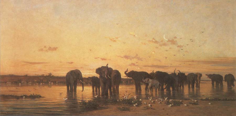 Elephants at Sunset